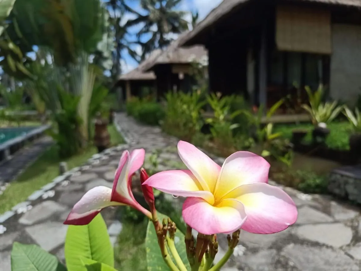 Taman Bintang Villa Ubud Indonésie