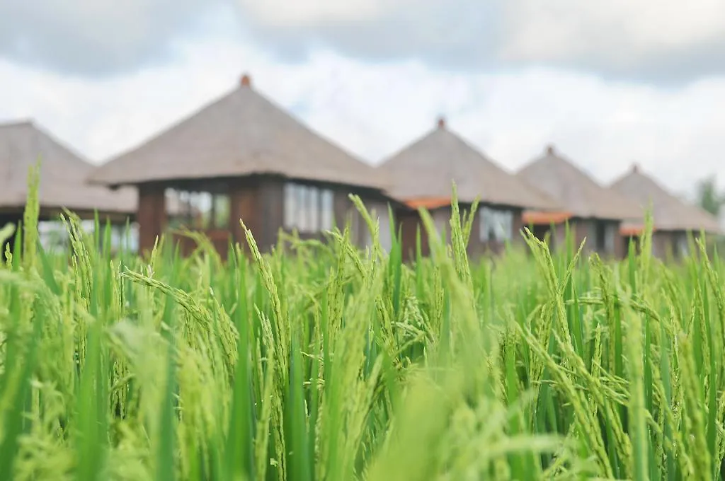 Taman Bintang Villa Ubud Indonésie