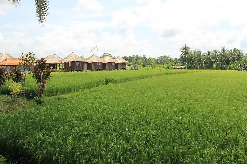 Taman Bintang Villa Ubud