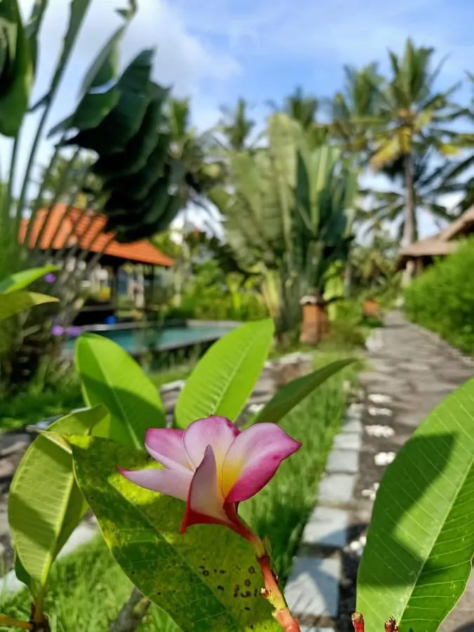 Taman Bintang Villa Ubud אובוד