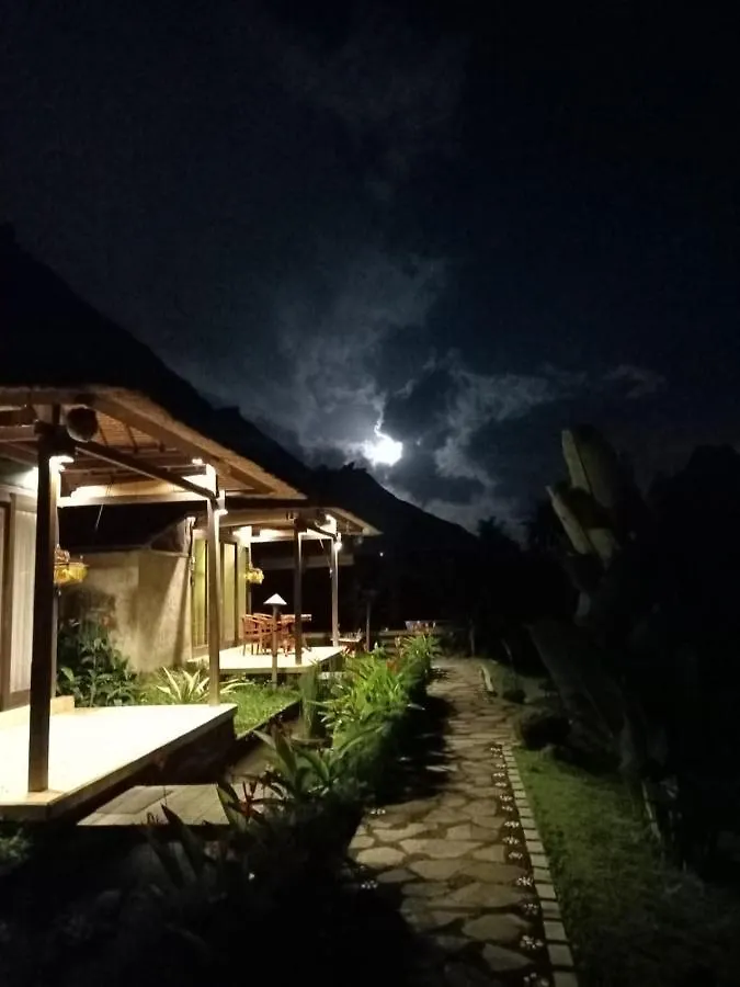 Taman Bintang Villa Ubud 4*,