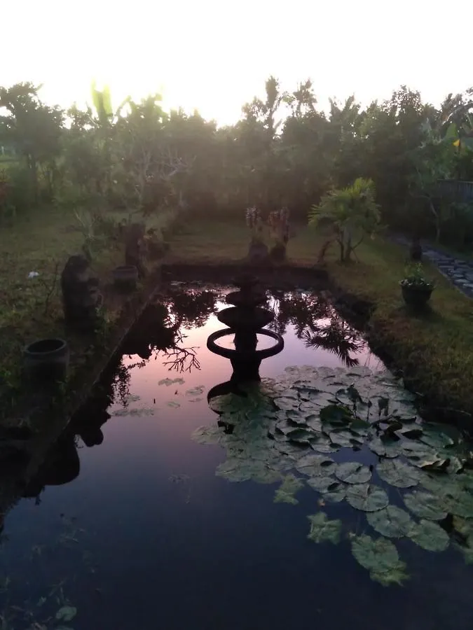 Taman Bintang Villa Ubud